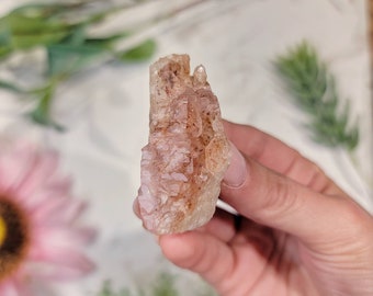 RARE High Quality Crystalized Rose Quartz - #3