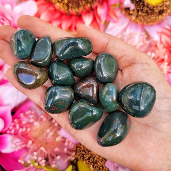 Indian Bloodstone Tumble | Healing Crystals | Bloodstone - No. 440