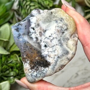 Dendritic Opal Freeform - #4