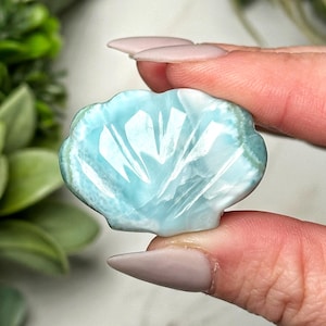 May include: A carved, light blue gemstone shaped like a seashell. The stone has white veining and a scalloped edge. The gemstone is held between two fingers, with a blurred green plant in the background.