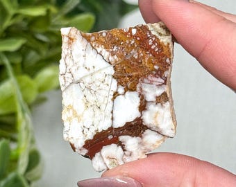Wild Horse Magnesite Slab | 11g | - #8 (Polished Red Crystal Pocket Stone, Root Chakra)