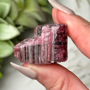 Raw Pink Tourmaline - #15