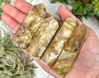 May include: Four golden selenite wands with a striated, layered pattern. The wands are smooth and polished, with a translucent, almost glassy appearance.