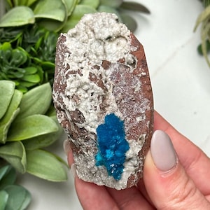 Cavansite Freeform - #1