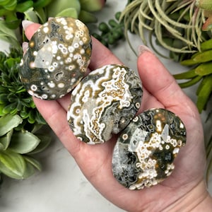 May include: Three polished ocean jasper stones in shades of green, brown, and white are held in a hand. The stones have unique patterns and textures, with a mix of circular and linear designs. The background includes greenery.