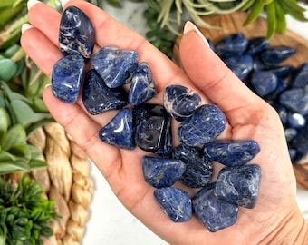 Sodalite Tumble | S, L | - No. 456 (Polished Blue Crystal Pocket Stone, Throat Chakra, Communication)