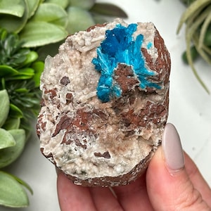Cavansite Freeform - #2