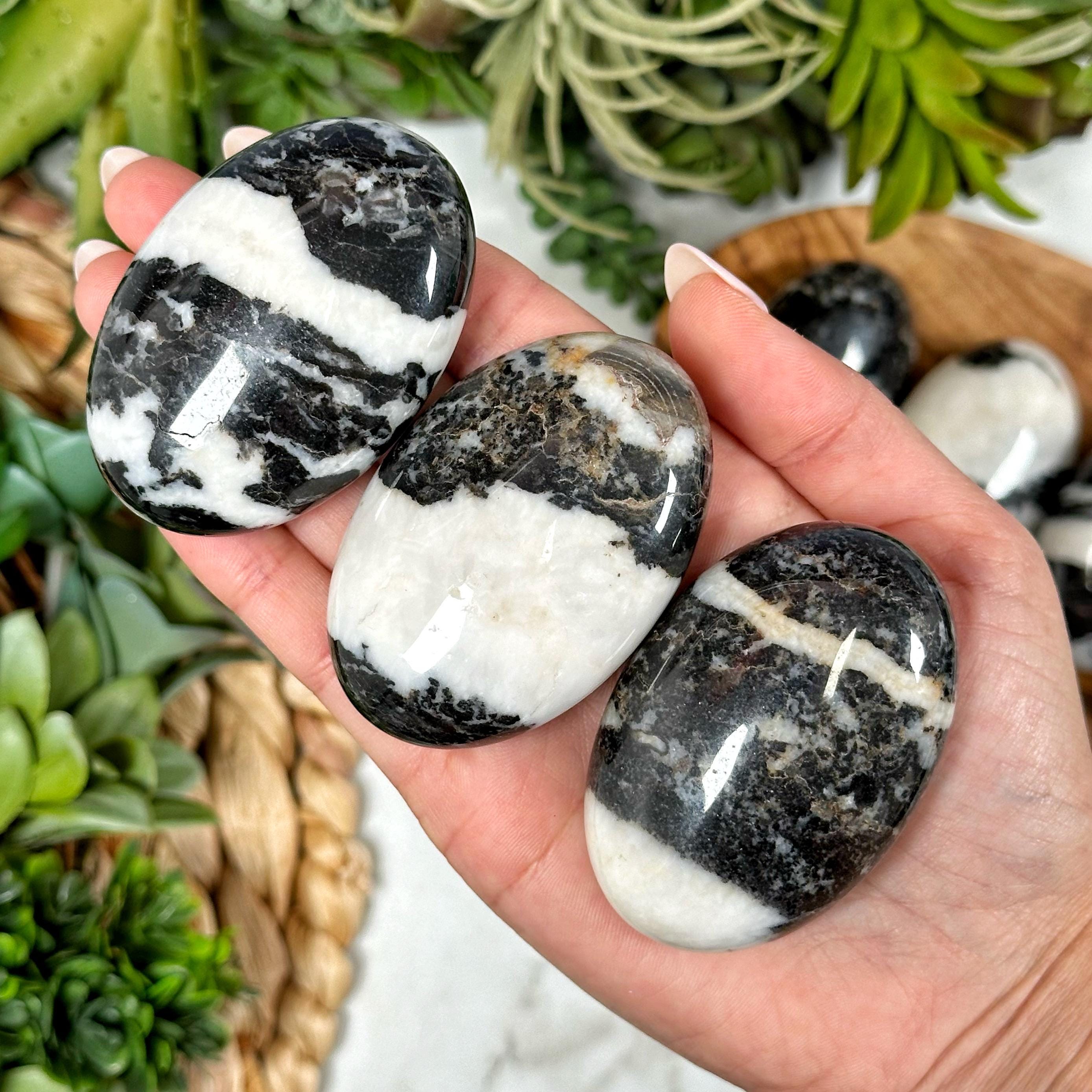 Zebra Jasper Palmstone | 3-4 Oz | - No. 161 (polished Black White