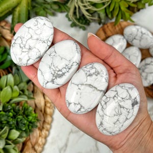 May include: Several white howlite stones with grey veining. The smooth, oval-shaped stones are held in a hand, with more stones visible in the background. The stones have a polished finish and are displayed against a backdrop of greenery.