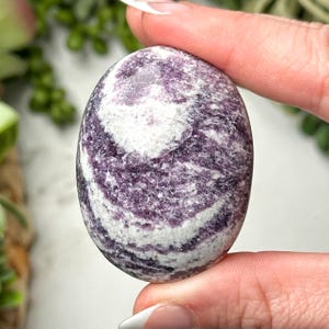 RARE Kammererite Palmstone - #6