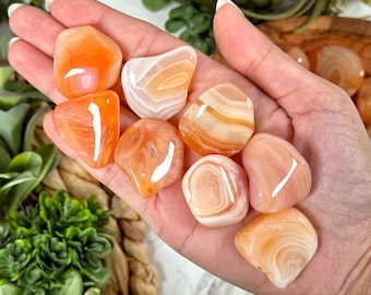 Peach Carnelian Tumble | S, M, L | - No. 433 (Polished Crystal Pocket Stone, Sacral Chakra, Vitality)
