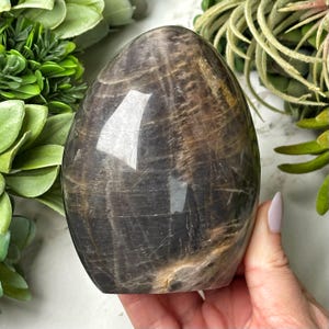 Flashy Black Moonstone Freeform - #6