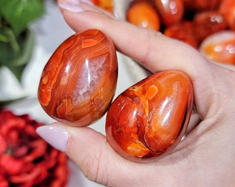 Carnelian Eggs - Sacral Chakra - No. 836