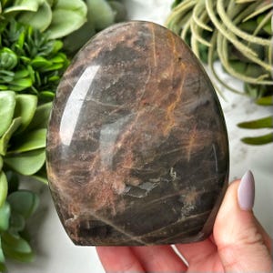 Flashy Black Moonstone Freeform - #5
