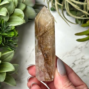 Dendritic Quartz Point - #8