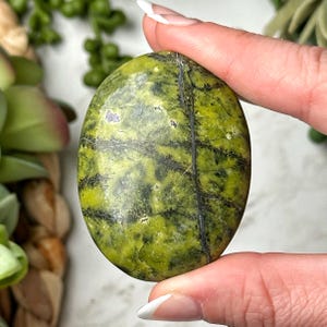 Atlantisite Palmstone - #6