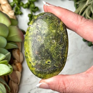 Atlantisite Palmstone - #3