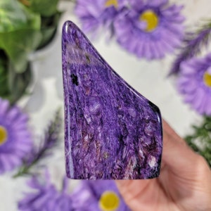 RARE Charoite High Quality Freeform - #24