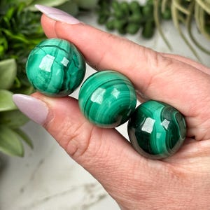 May include: Three polished malachite spheres, each with a vibrant green hue and intricate dark green patterns. The spheres are held in a hand, showcasing their smooth, reflective surfaces. These decorative spheres are ideal for home decor or crystal collections.