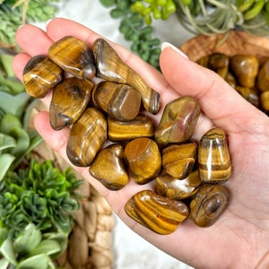 May include: A collection of tumbled tiger's eye stones in various shades of brown and gold. The stones have a chatoyant effect, meaning they shimmer and change color in the light.