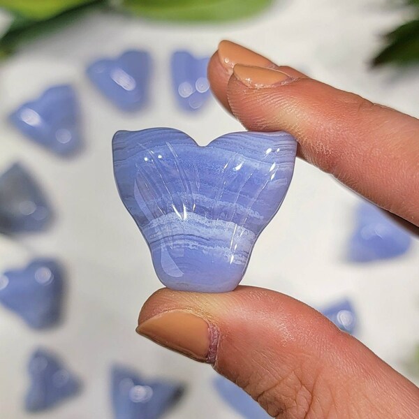 Blue Lace Agate Whale Tail from Namibia - Throat Chakra - No. 911