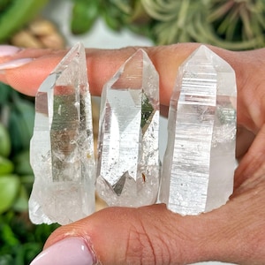 Raw Lemurian - Crown Chakra Clear Quartz - No. 845