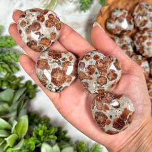 RARE Garnet in Wollastonite Heart - Heart Chakra - No. 206