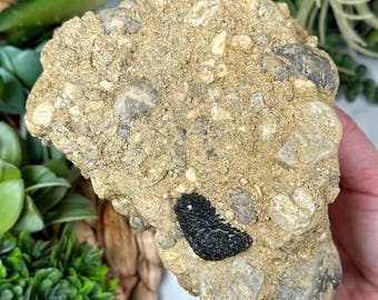 Moldavite autentica in matrice / 861 g / - #1 (Cristallo di tectite spaziale grezza, Chakra del cuore, Manifestazione)
