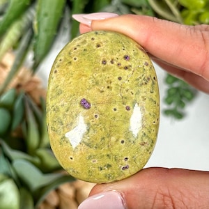 Atlantisite Palmstone - #10