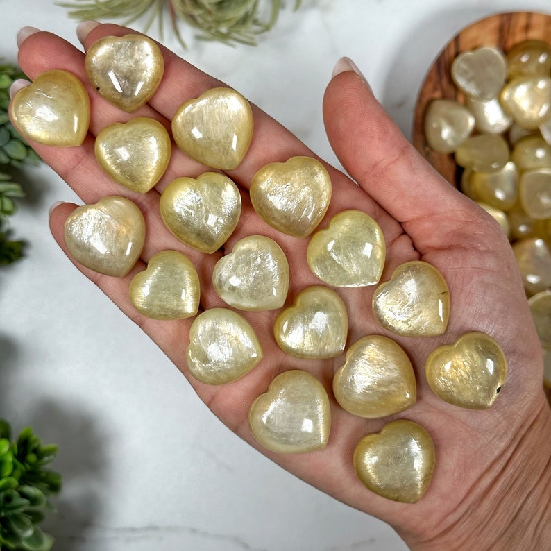 May include: A collection of golden selenite heart shaped crystals. The crystals are smooth and polished, with a translucent, milky white color.
