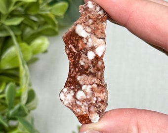 Wild Horse Magnesite Slab | 10g | - #10 (Polished Red Crystal Pocket Stone, Root Chakra Stone)