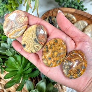 May include: Four smooth, oval-shaped polished agate stones with a variety of brown, yellow, and white patterns. The stones are arranged in a hand.