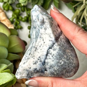 Dendritic Opal Freeform - #1