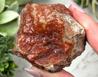 自立型ピース！レッドフォックスクレーターアゲート、レッド