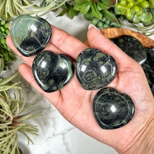 Kambaba Jasper Heart Worry Stone - Heart Chakra - No. 351