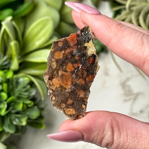 May include: A rough-edged, irregularly shaped stone with a mottled pattern of brown, orange, and tan hues. The stone is held between two fingers, showcasing its natural, earthy appearance. The stone's surface has a mix of textures and colors.