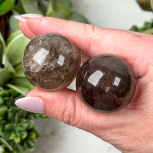 May include: Two polished, smoky quartz spheres. The spheres are held in a hand and have a translucent, brown color with internal inclusions. The spheres reflect light, creating bright highlights on their surfaces. The background includes green foliage.