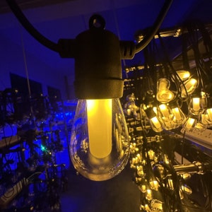 May include: A string of warm white LED lights with clear glass bulbs. The lights are strung on black wire and are plugged in. The lights are on and illuminating the room.