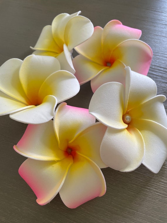 Plumeria flower hair clip discount