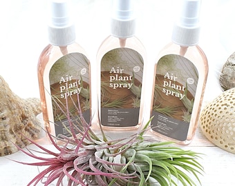 spray soin tillandsia, engrais, 1 flacon, 80ml