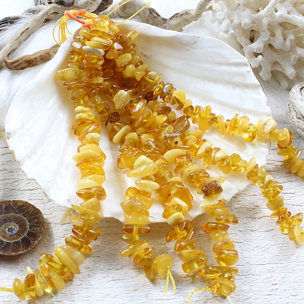 ambre naturelle, jaune, perles chips, lot de 50 perles, +/- 6 à 12mm x 5 à 10mm