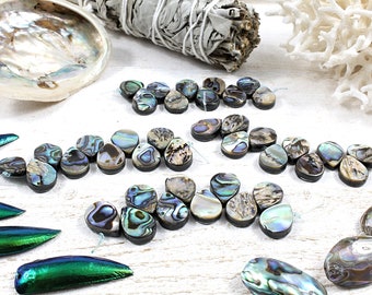 coquillage paua, abalone naturel, perles pendentifs gouttes, irrégulières, 1 FIL, 10 pièces,  +/- 14 x 10 x 3 / 4mm