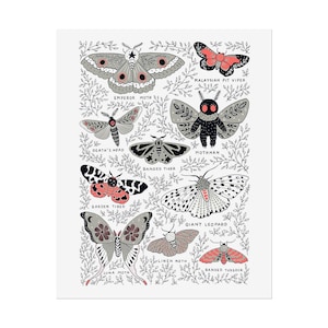 Mothman Art Print Cryptid Print Crptozoology Print Mothman Wall Art Home Decor Wall Art Cute Mothman