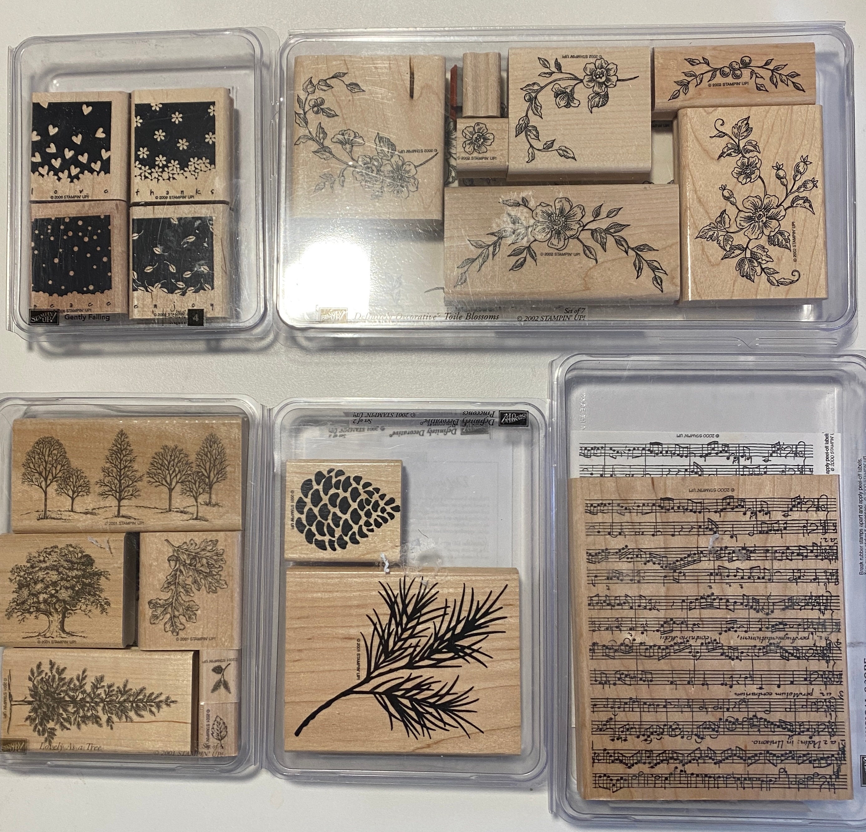 Clear Stamps Slim Collage Designs With Nature Elements SHOP EXCLUSIVE for  Paper Crafts, Scrapbooking, Journaling, Mixed Media 4x4 In 