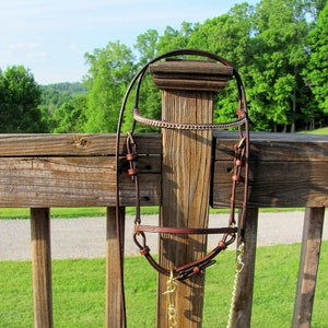 English Show Halter and Lead