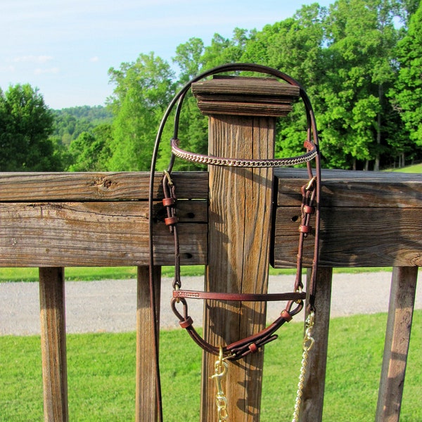 Horse Show Halter and Lead Etsy