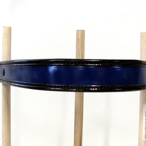 Blue Leather Browband, Cavesson, or Breast Strap