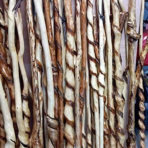Naturally Twisted Walking Sticks
