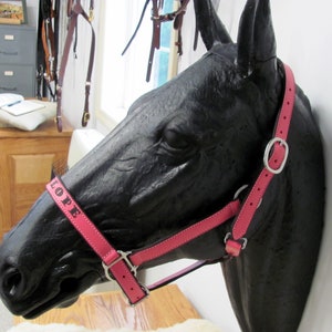 Colored Leather Halters