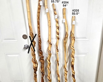 Unique Twisted Walking Sticks with Vines